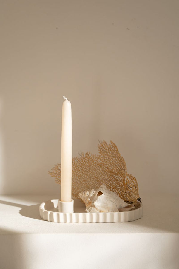 JARS Sillage Coquillage tray