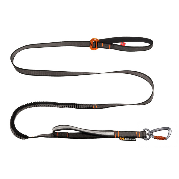 Touring Bungee Adjustable Dog Lead