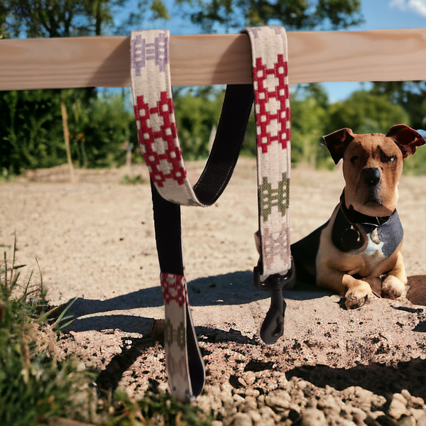 Moose &amp; Co - Guinzaglio per cani: Crema multicolore