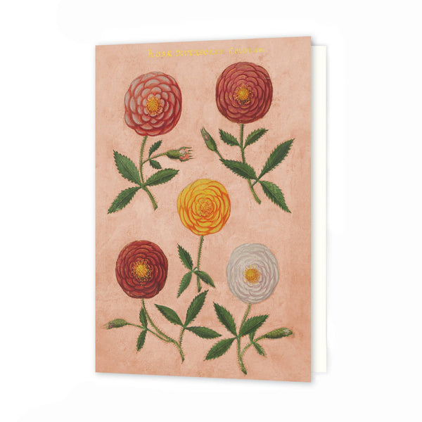 Roomytown - Greetings Card - Pink Festival of Flowers