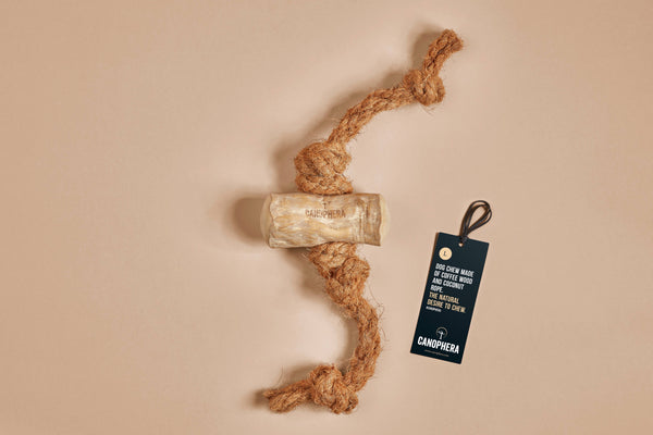 CANOPHERA GmbH - Dog Chew Made of Coffee Wood and Coconut Rope.: XL / English