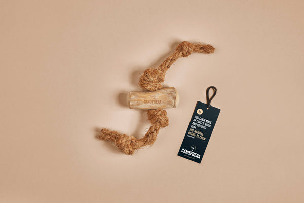 CANOPHERA GmbH - Dog Chew Made of Coffee Wood and Coconut Rope.: M / English